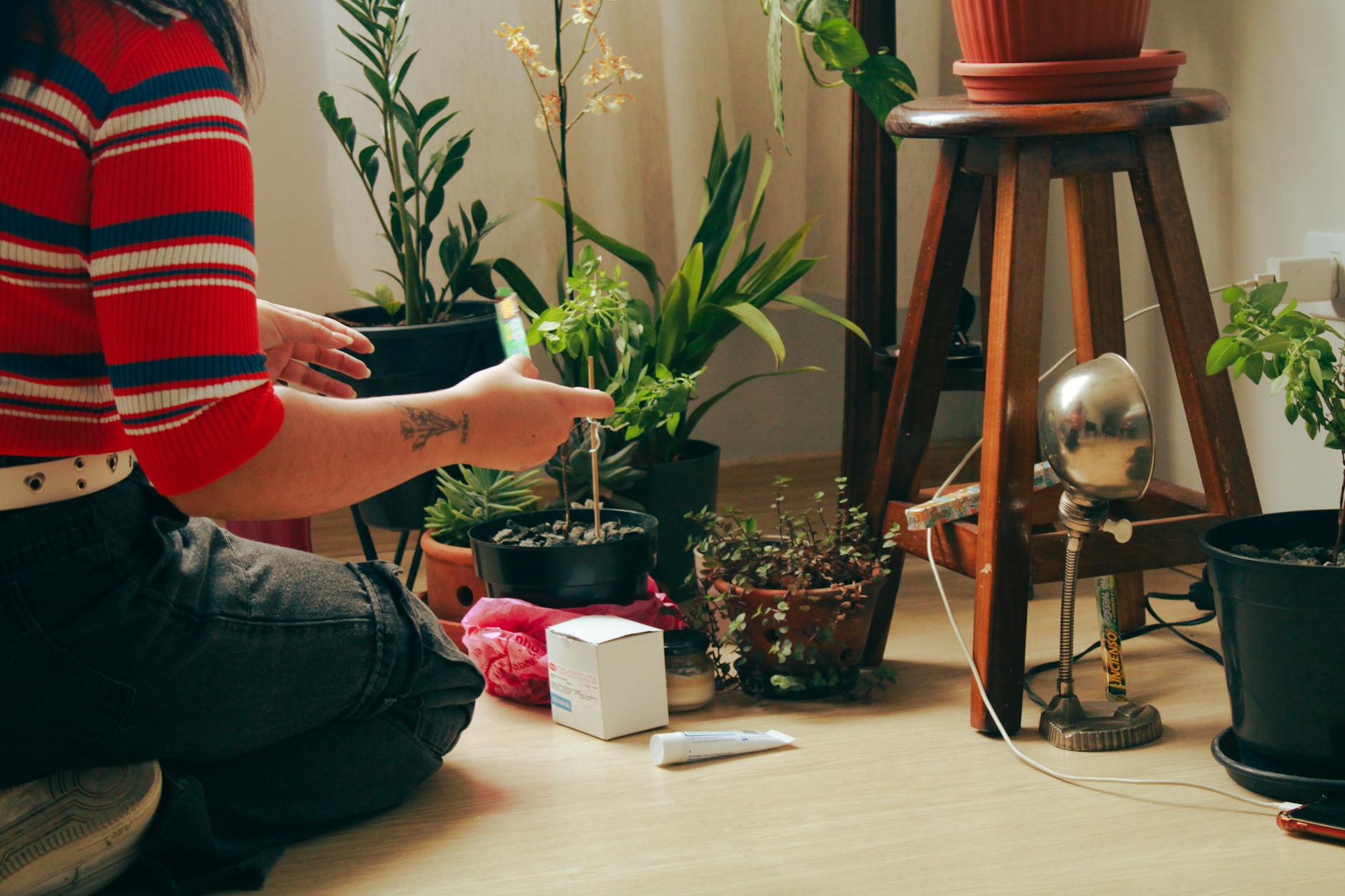 식물 비료 종류와 주는 시기