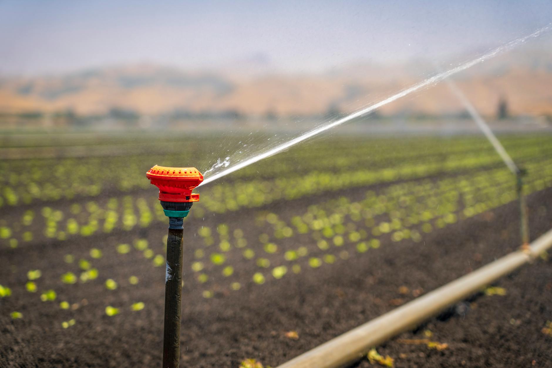 페트병으로 자동 물주기 만들기