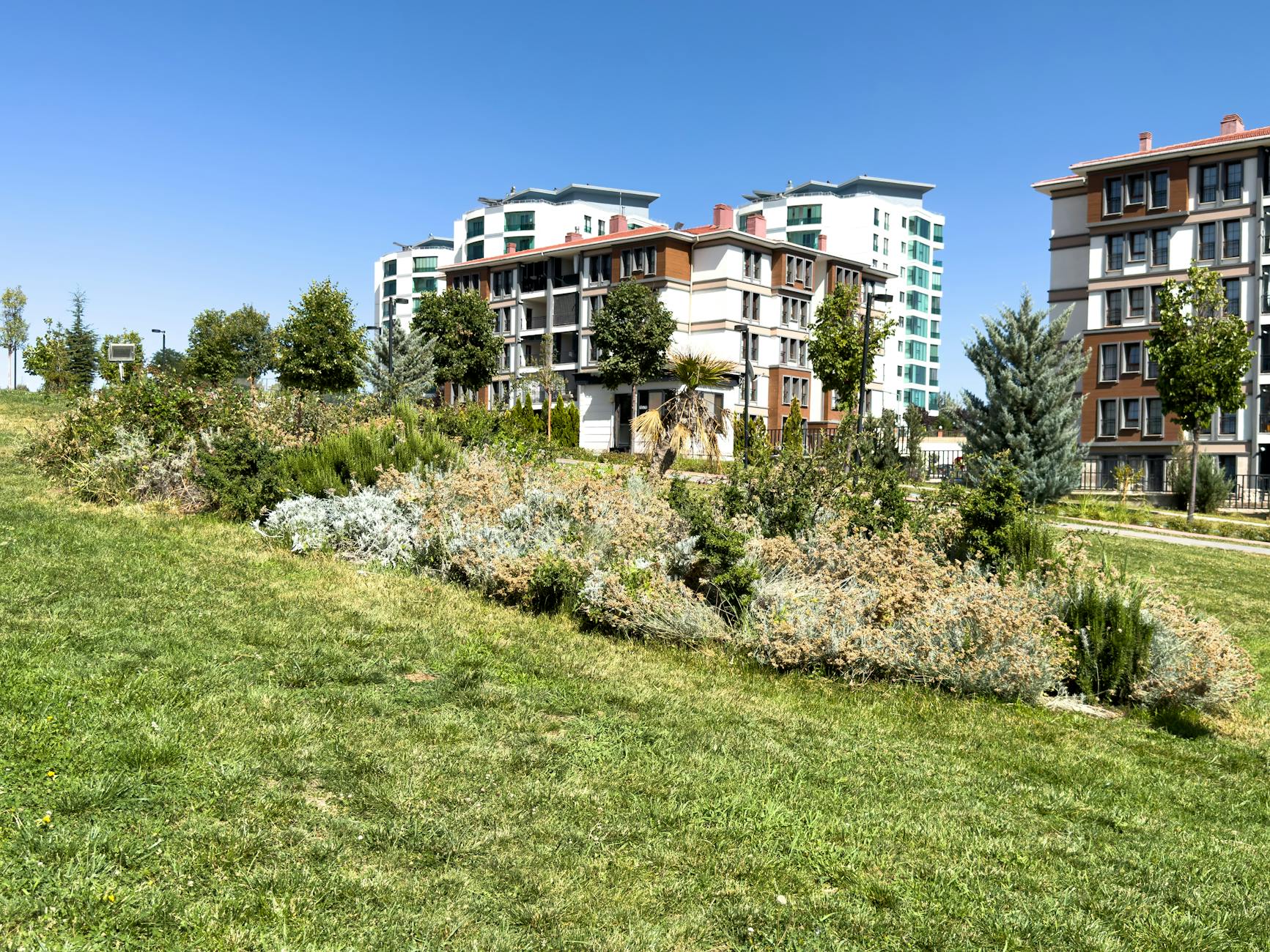 산지전용허가 조경 복구 기준