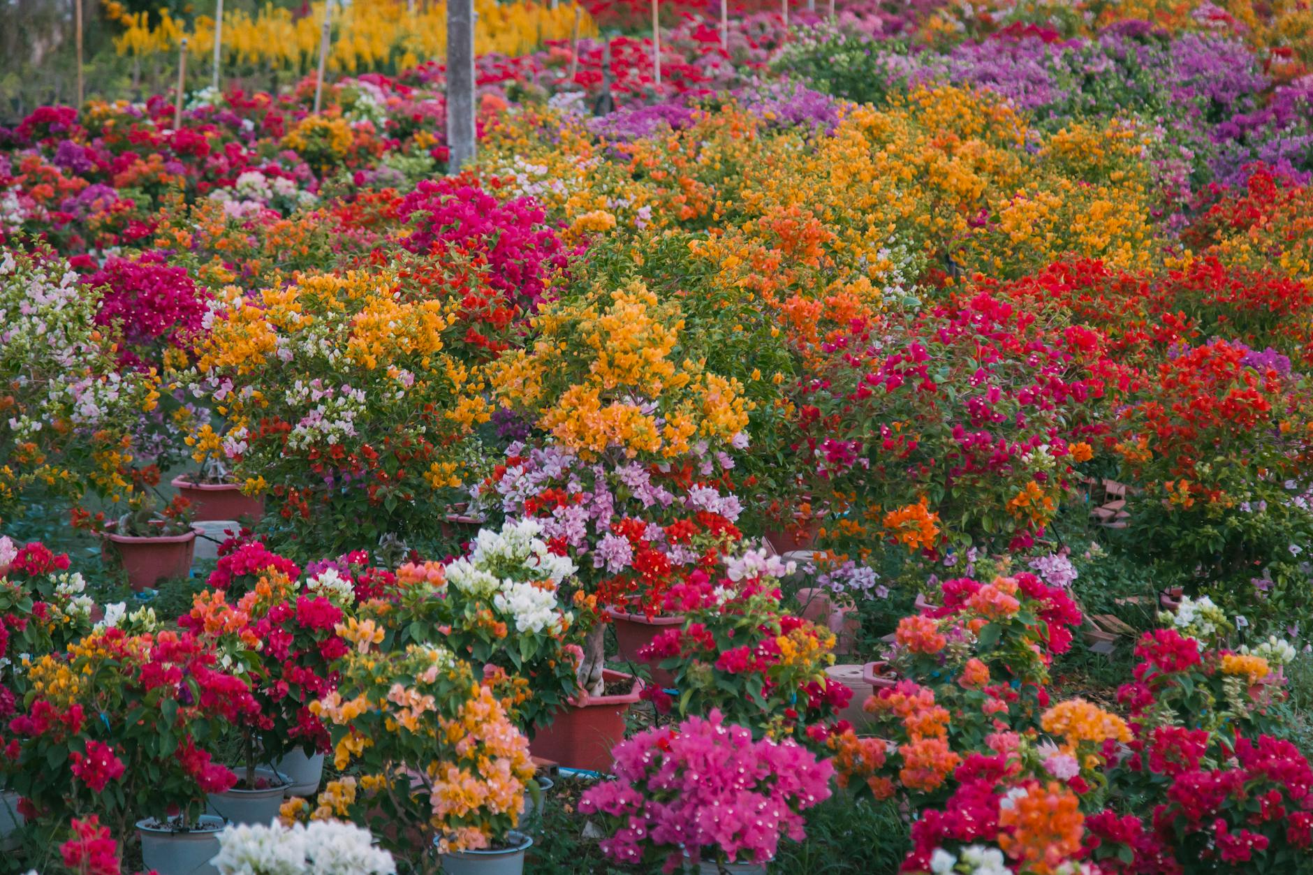 조경 공사 부가세 처리 방법