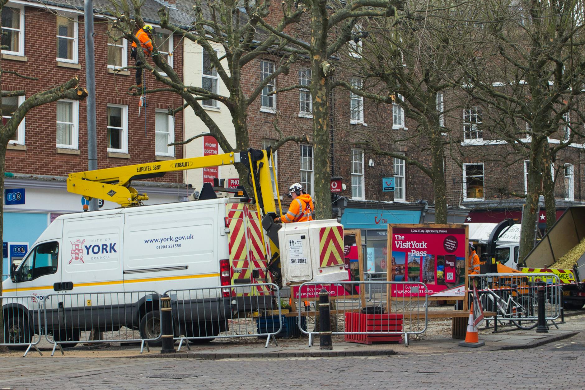 가로수 관리 주체와 민원 처리 방법