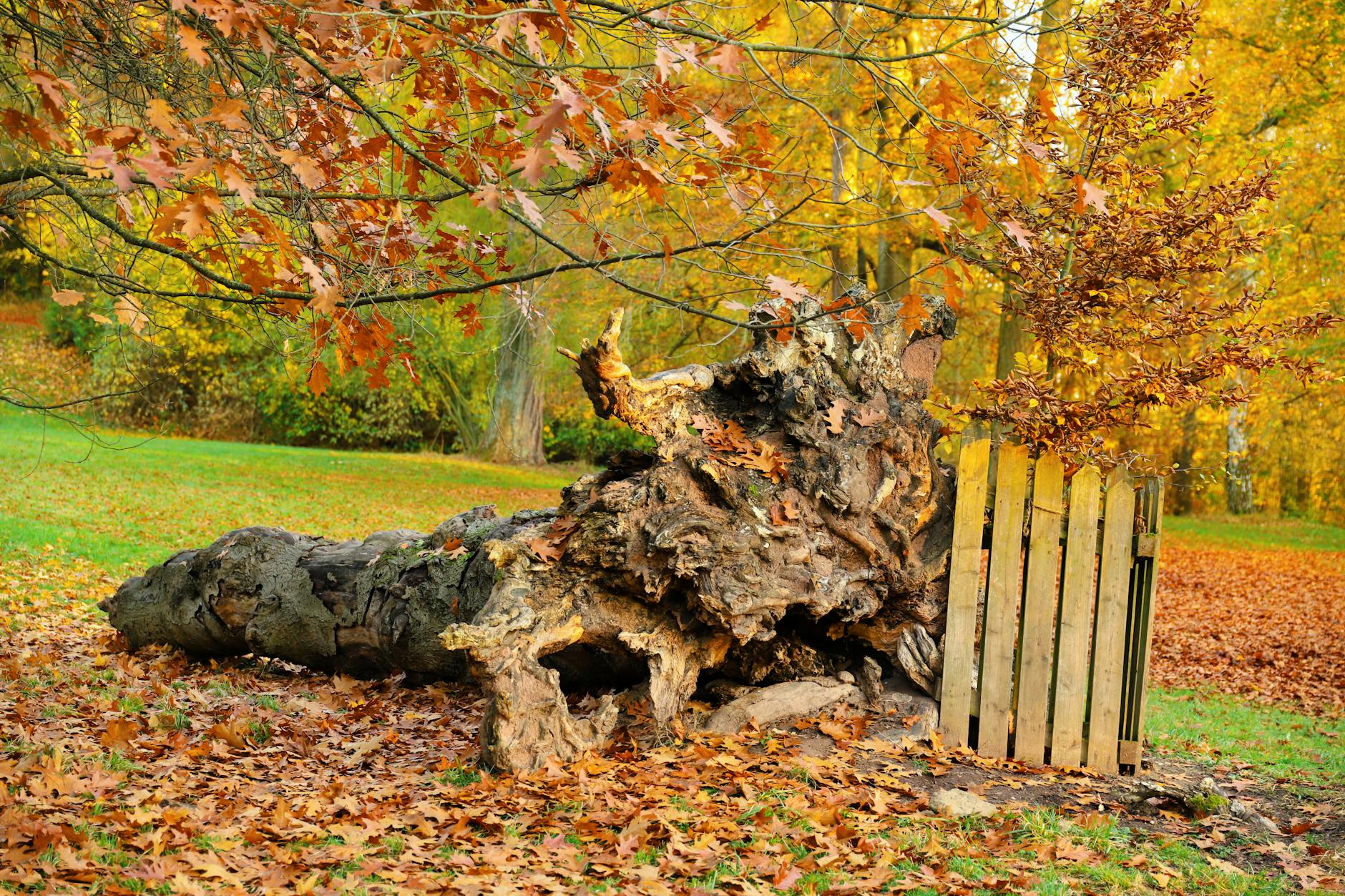 수목 운반 시 주의사항 정리