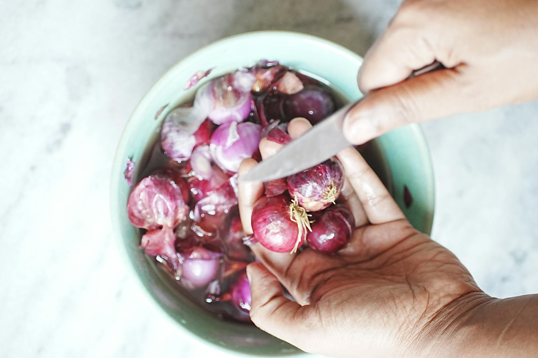 뿌리돌림 시기와 방법 완벽 가이드