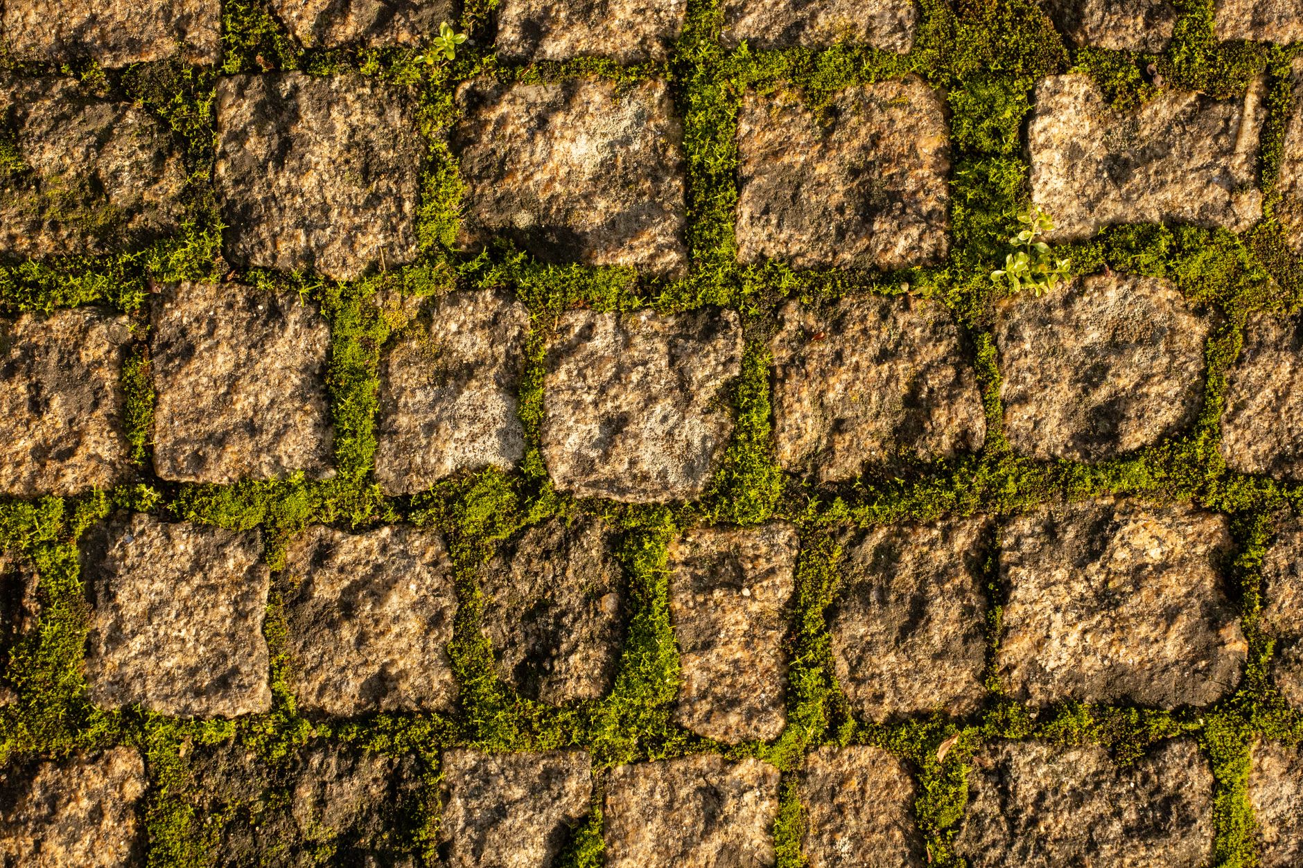 아파트 조경 시공 순서와 방법