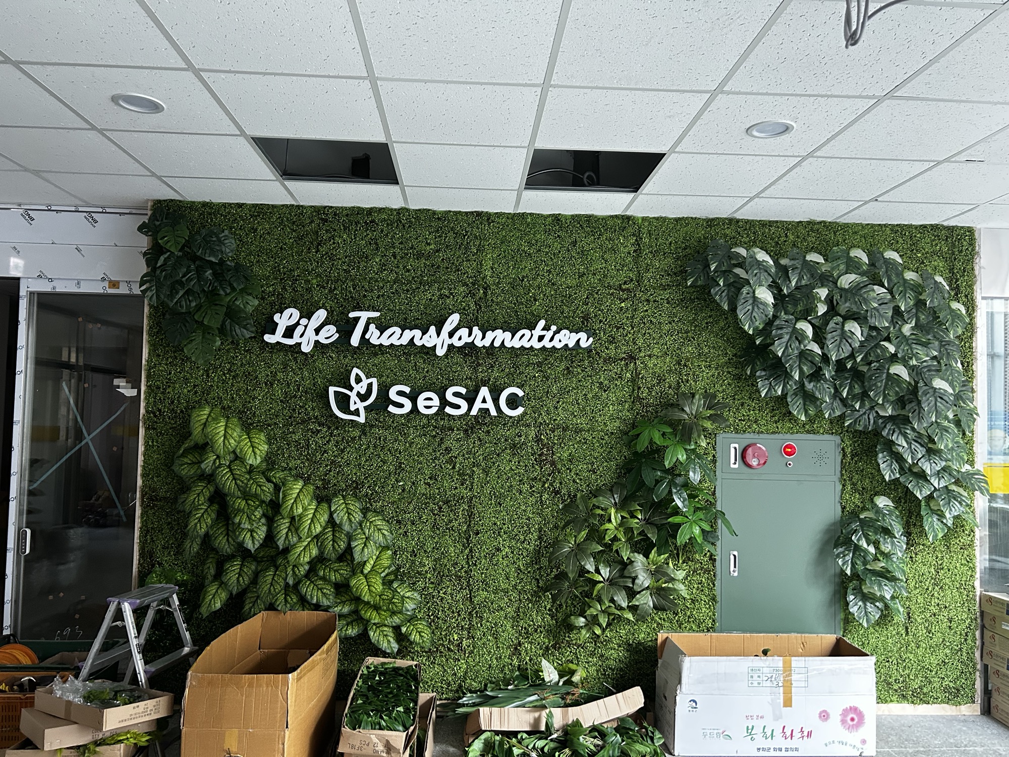 SeSAC 브랜딩 월 시공 과정