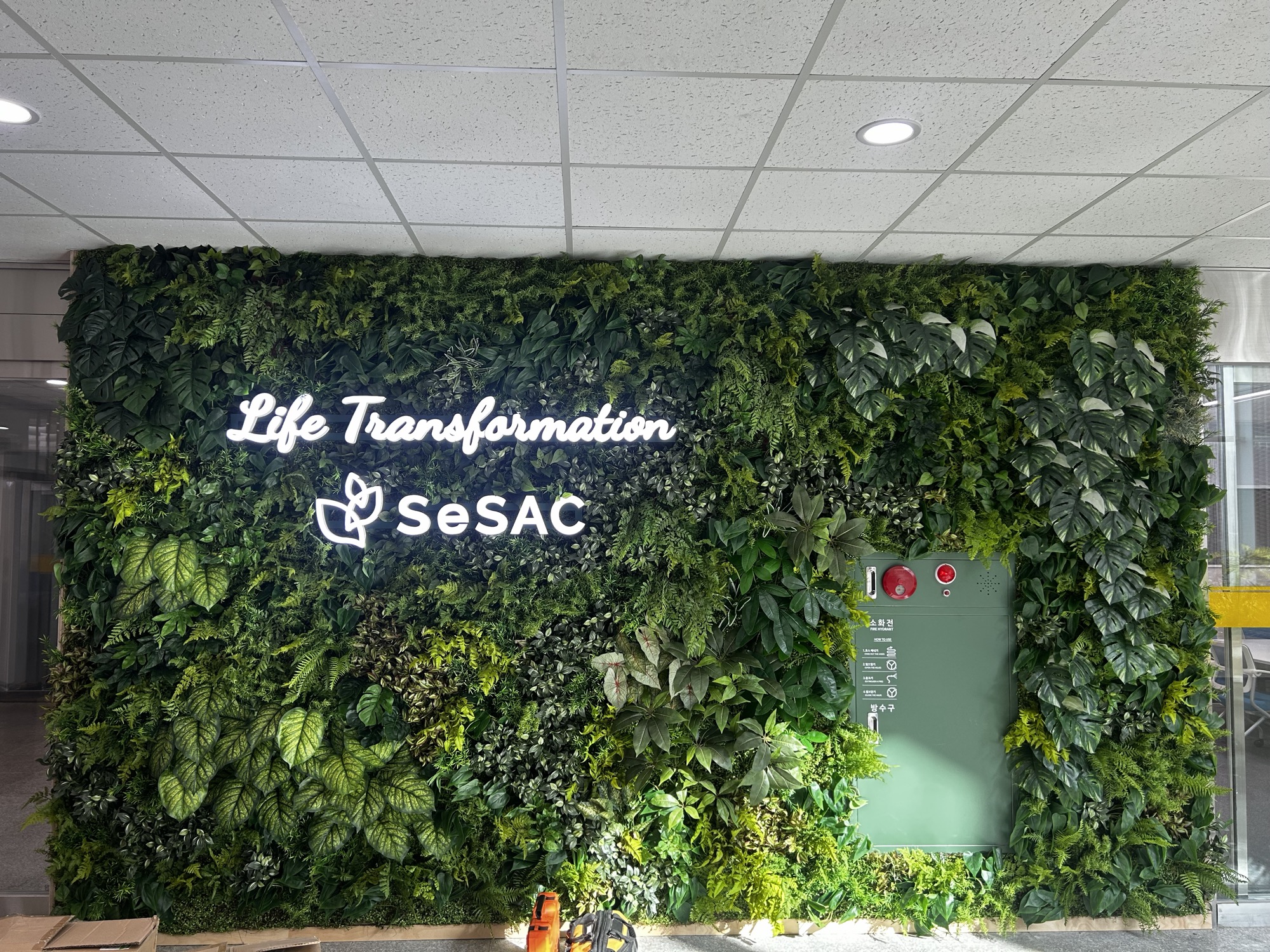SeSAC 브랜딩 월 완성